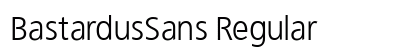 BastardusSans Regular