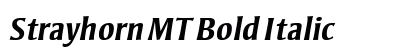 Strayhorn MT Bold Italic Preview
