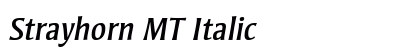 Strayhorn MT Italic Preview