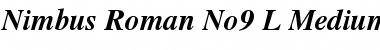 Nimbus Roman No9 L Font