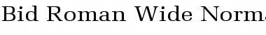 Bid Roman Wide Font