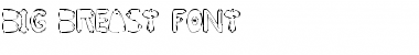 Download BIG BREAST FONT Font
