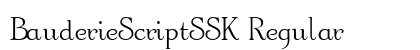 BauderieScriptSSK Regular Preview