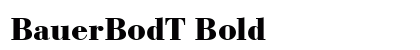 BauerBodT Bold preview