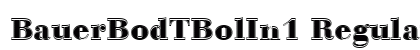 BauerBodTBolIn1 Regular