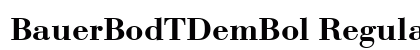 BauerBodTDemBol Regular