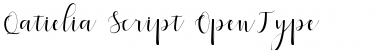 Qatielia Script Regular Font