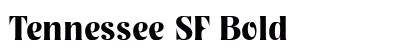 Tennessee SF Bold preview
