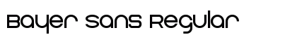 Bayer Sans Regular preview