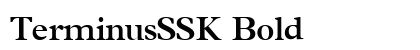 TerminusSSK Bold preview