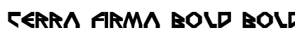 Terra Firma Bold Bold preview