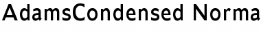 AdamsCondensed Font