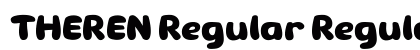 THEREN Regular Regular preview