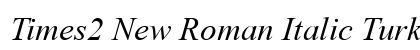 Times2 New Roman Italic Turkce