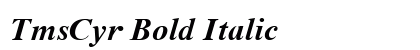 TmsCyr Bold Italic preview