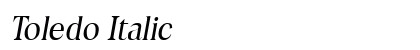 Toledo Italic Preview