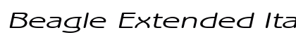 Beagle Extended Italic Preview