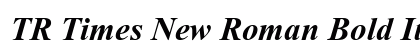 TR Times New Roman Bold Italic Preview