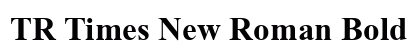 TR Times New Roman Bold preview