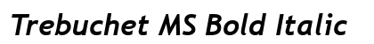Trebuchet MS Bold Italic Preview
