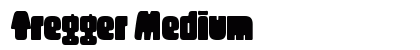 Tregger Medium preview