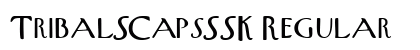 TribalSCapsSSK Regular Preview