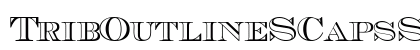 TribOutlineSCapsSSK Regular preview