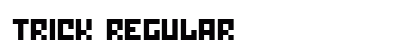 Trick Regular preview
