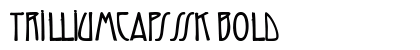TrilliumCapsSSK Bold preview