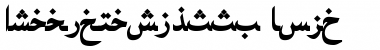 Download ArabicNaskhSSK Font