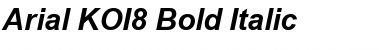 Arial KOI8 Font