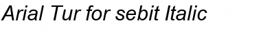 Arial Tur for sebit Italic Font