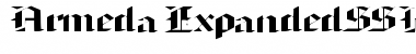 ArmedaExpandedSSK Font