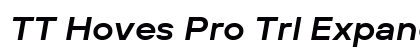 TT Hoves Pro Trl Expanded DemiBold Italic preview