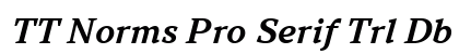 TT Norms Pro Serif Trl Db It preview