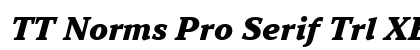 TT Norms Pro Serif Trl XBd It preview