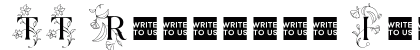 TT Ramillas Initials Trl Rg Preview