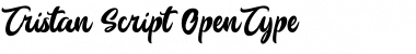 Tristan Script Font