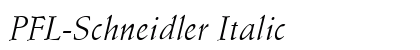 PFL-Schneidler Italic preview
