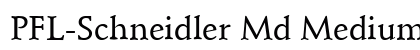 PFL-Schneidler Md Medium preview