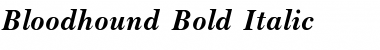 Bloodhound Bold Italic Font