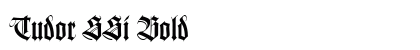 Tudor SSi Bold preview