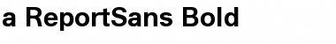 a_ReportSans Font