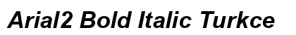 Arial2 Bold Italic Turkce