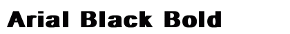 Arial Black Bold preview
