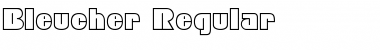 Bleucher Regular Font