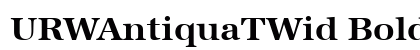 URWAntiquaTWid Bold preview