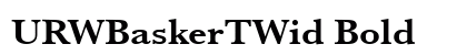 URWBaskerTWid Bold preview