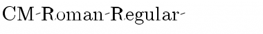 CM_Roman Regular Font CM_Roman Regular Font