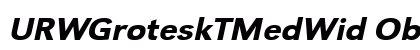 URWGroteskTMedWid Oblique Preview